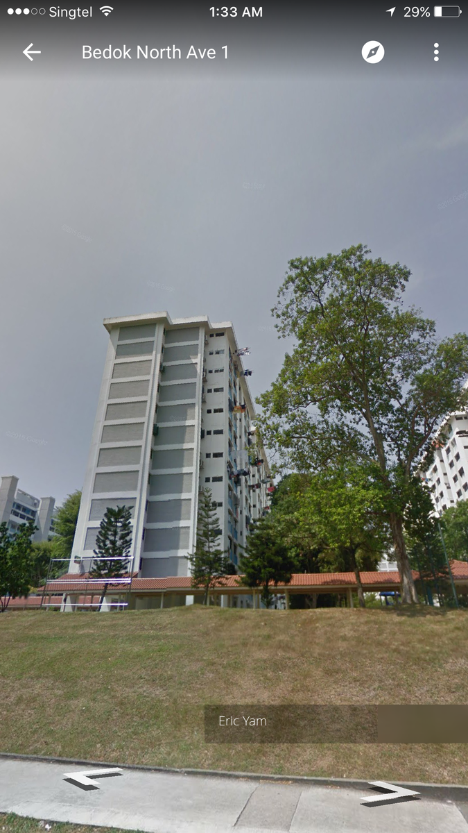 Bedok North Avenue 1 thumbnail photo